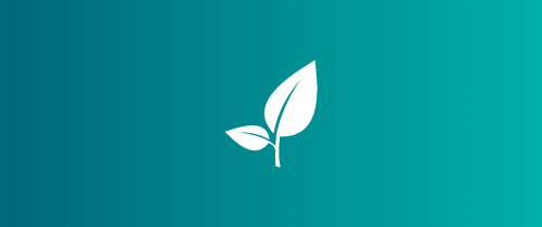 White leaf over a gradient teal background 