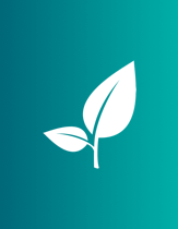Vanguard Charitable leaf icon