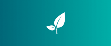 Vanguard Charitable leaf icon