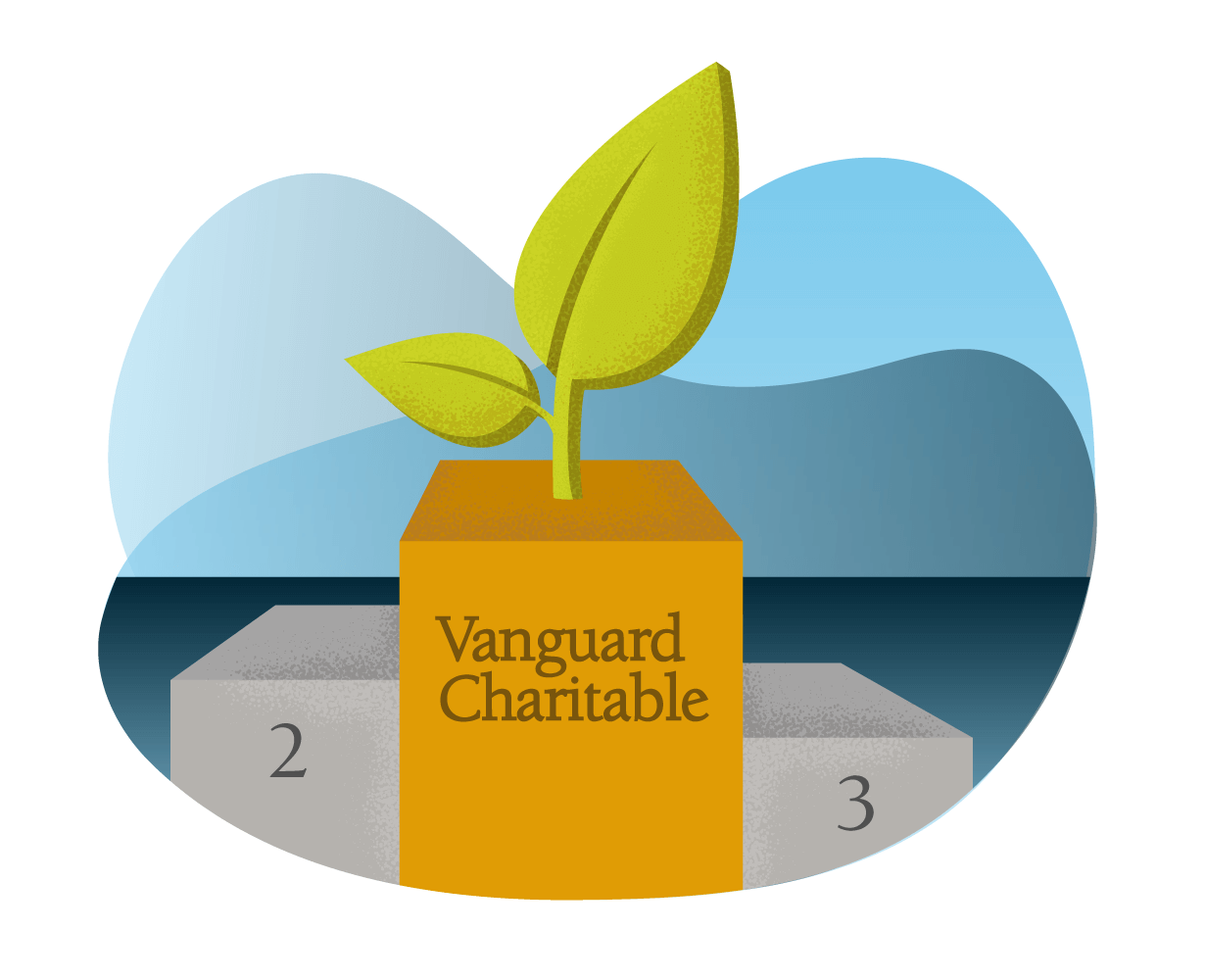 Vanguard Charitable's logo, two green leaves, is featured in first place on a winner's podium. Second and third places are empty.