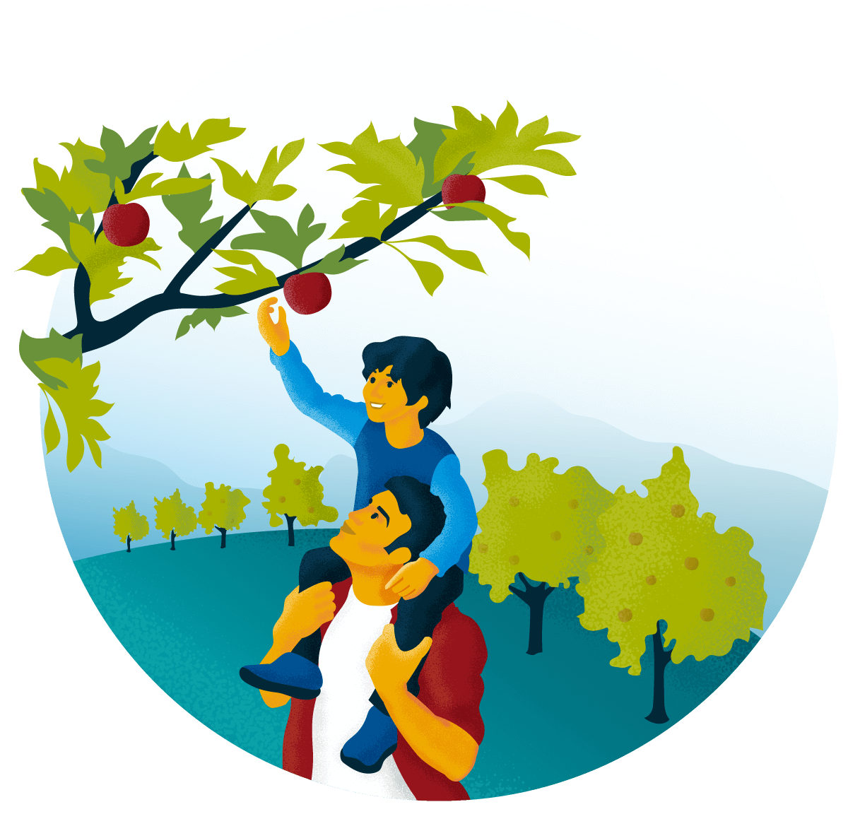 A child sits on an adult's shoulders picking apples from a tree. 