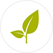 Vanguard Charitable leaf logo